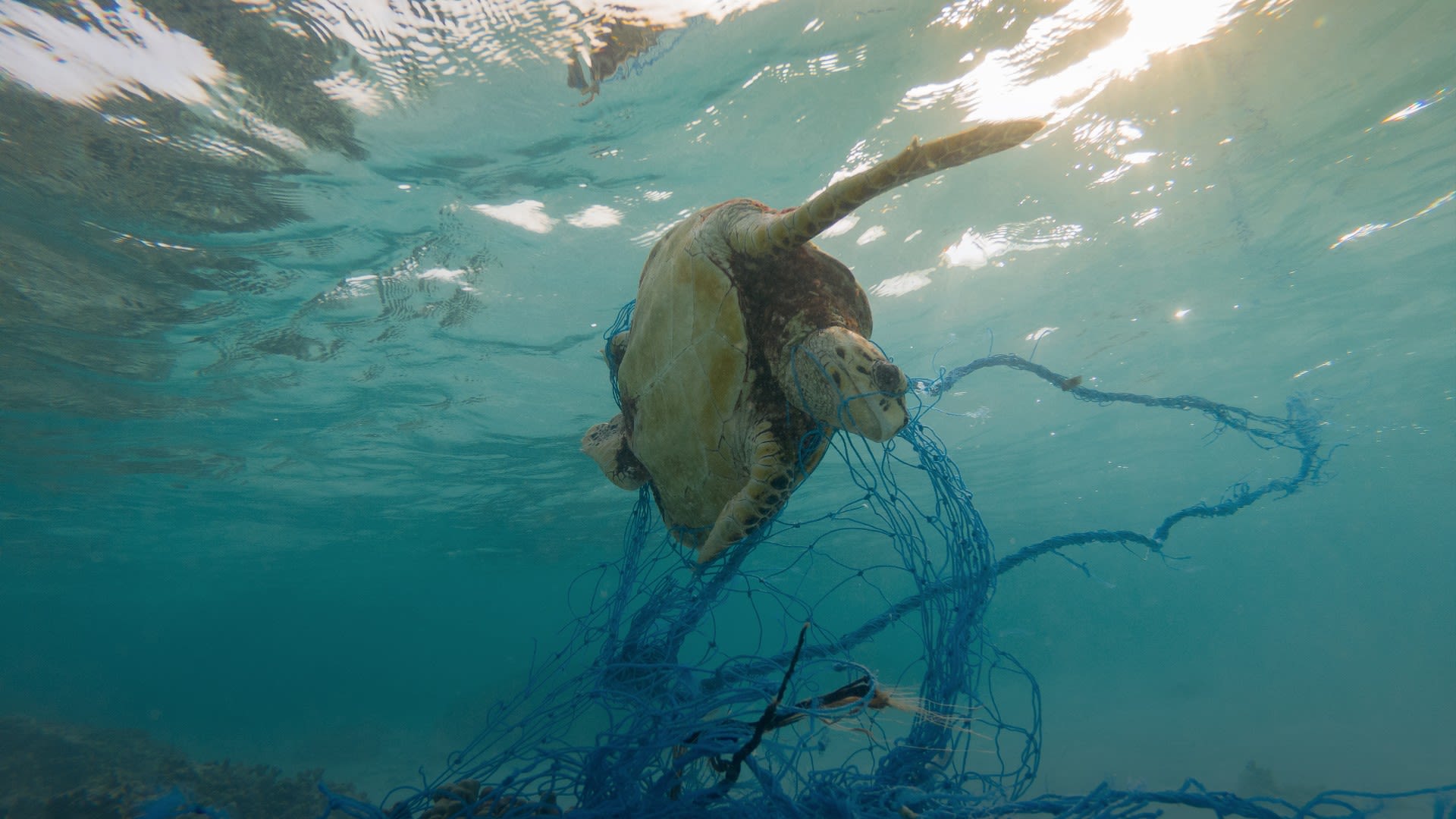 Guide: Elko Ocean plastic – belysningstillbehör av gamla fiskenät
