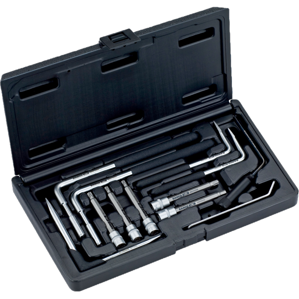 Bahco BBS10008 Bitshylsa TORX TR25