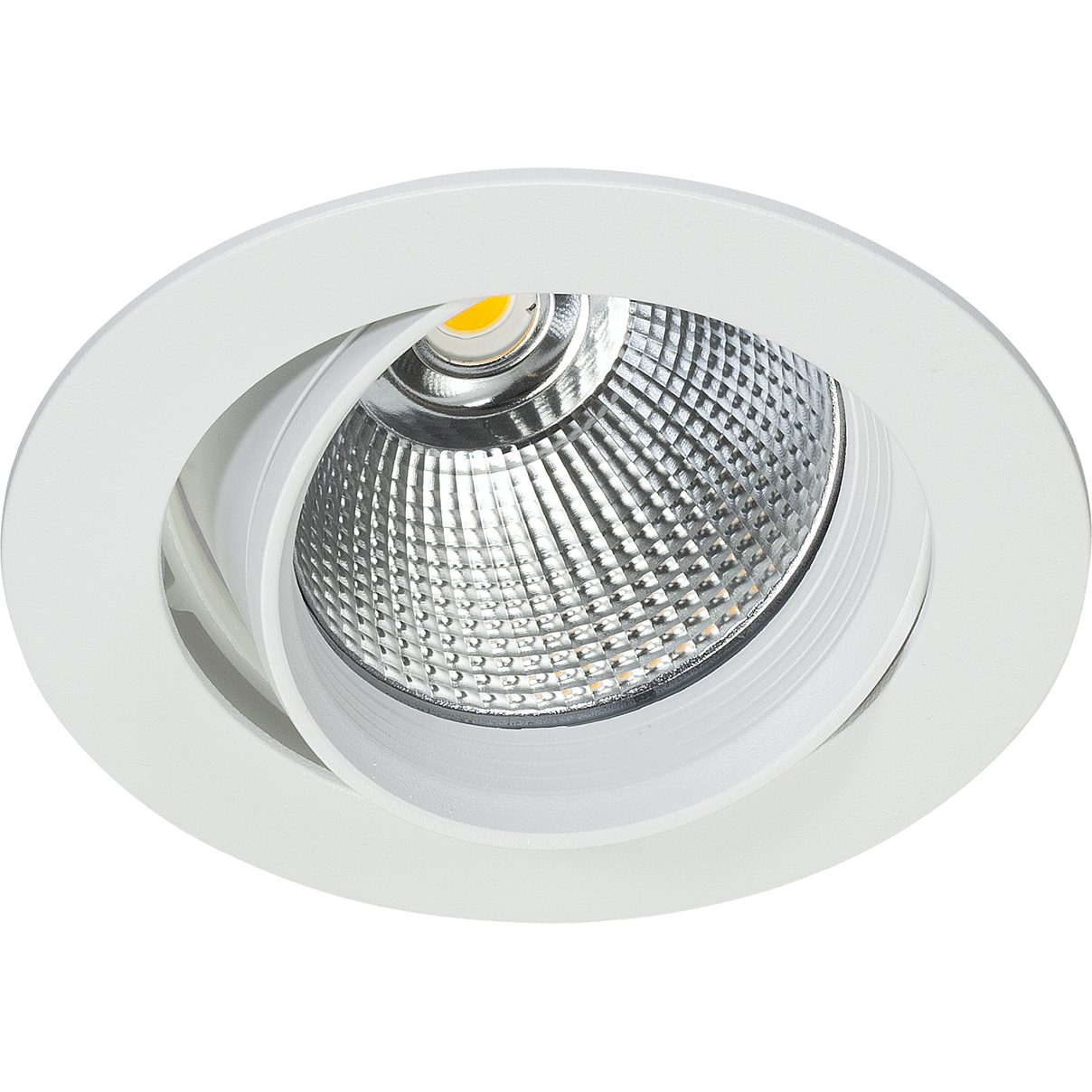 Easyform Silver Downlight ställbar 360°/ 20° 30W