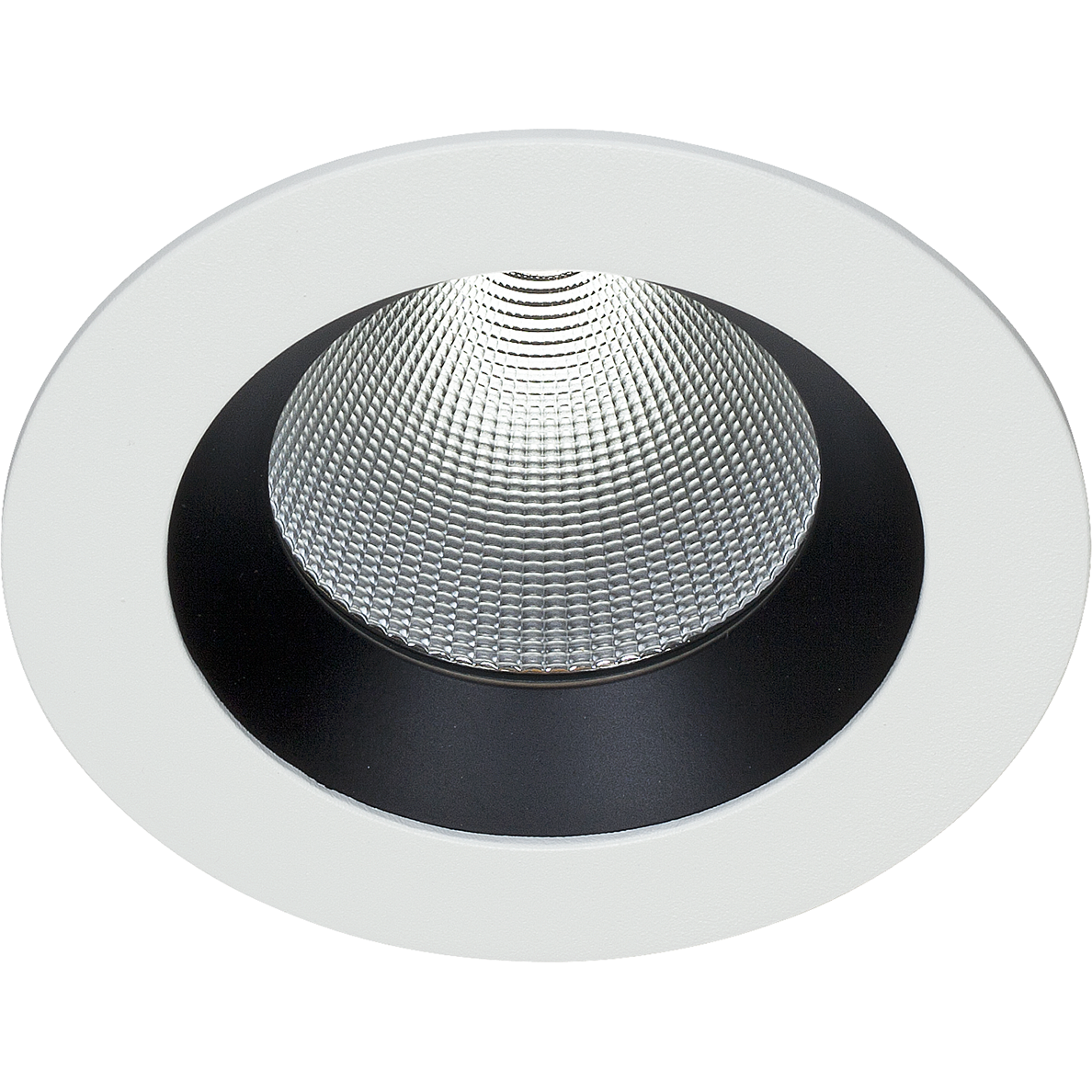 Easyform Pride Downlight standard 30W