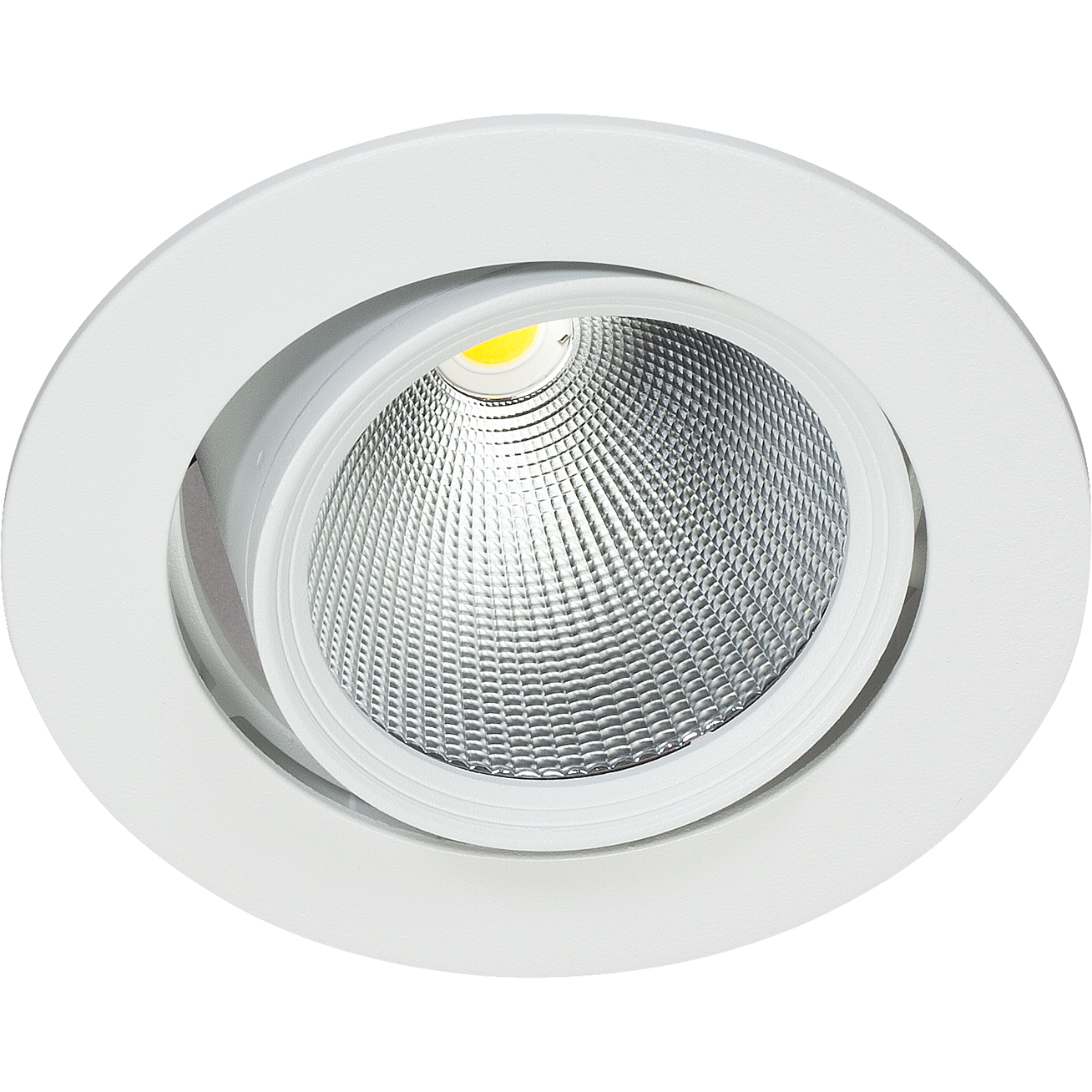 Easyform Pride Downlight ställbar, 360°/ 20° 30W