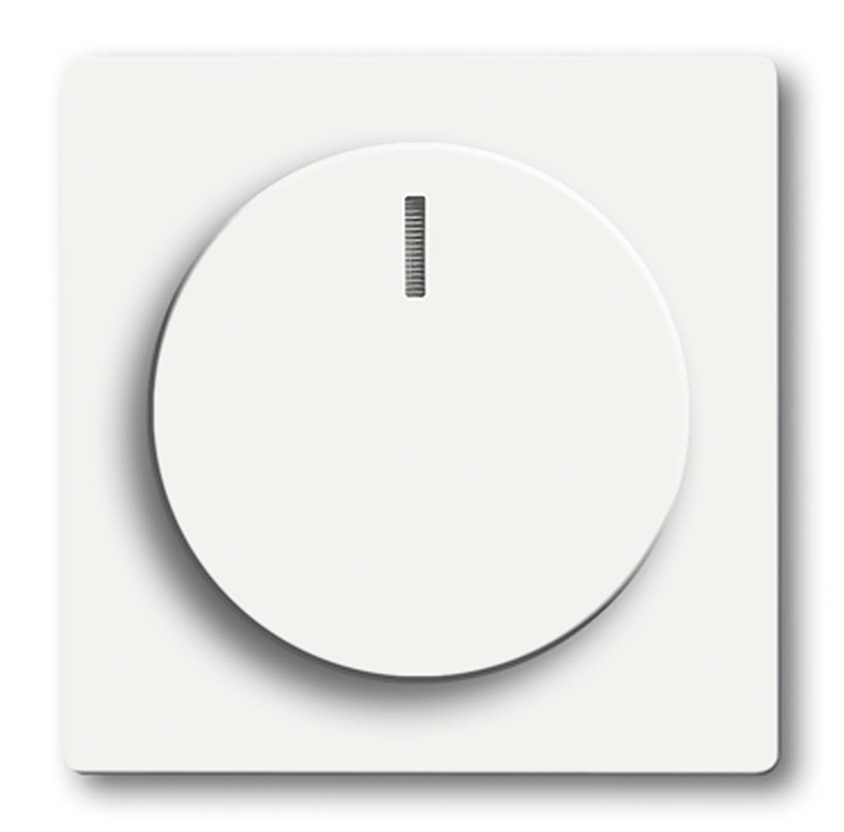 ABB 2CKA006599A2961 Centrumplatta mattvit