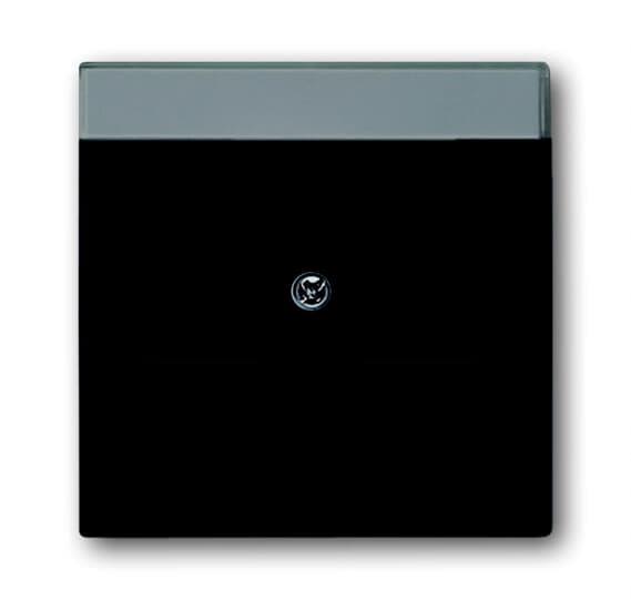 ABB Impressivo 1800-885 Centrumplatta matt svart, RJ45, dammskydd