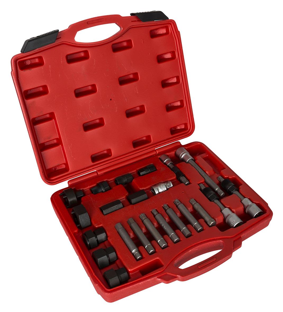 PELA 494408 Generator 22 delar