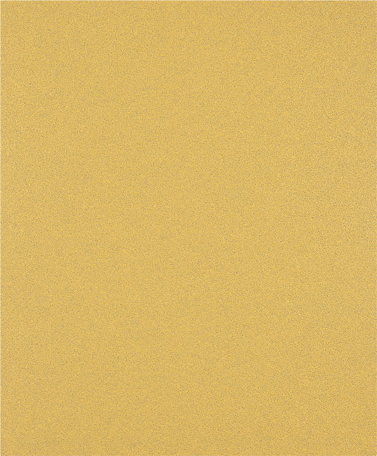 Bosch Expert C470 Slippapper 230x280 mm 230x280 mm