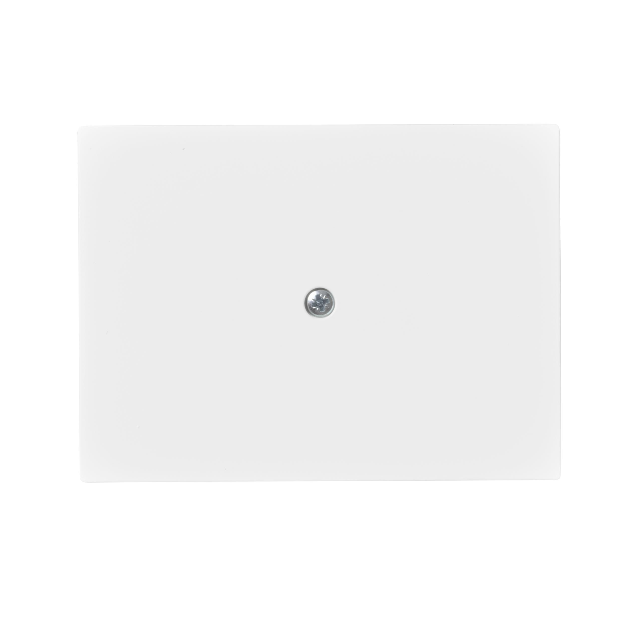 ABB 2538-100-884 Centrumplatta blindlock, vit