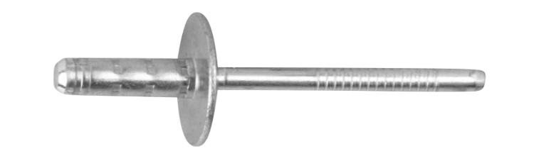 Ejot 100911 Blindnit multigrip, stor skalle, 250-pack 4,8x13,8 mm