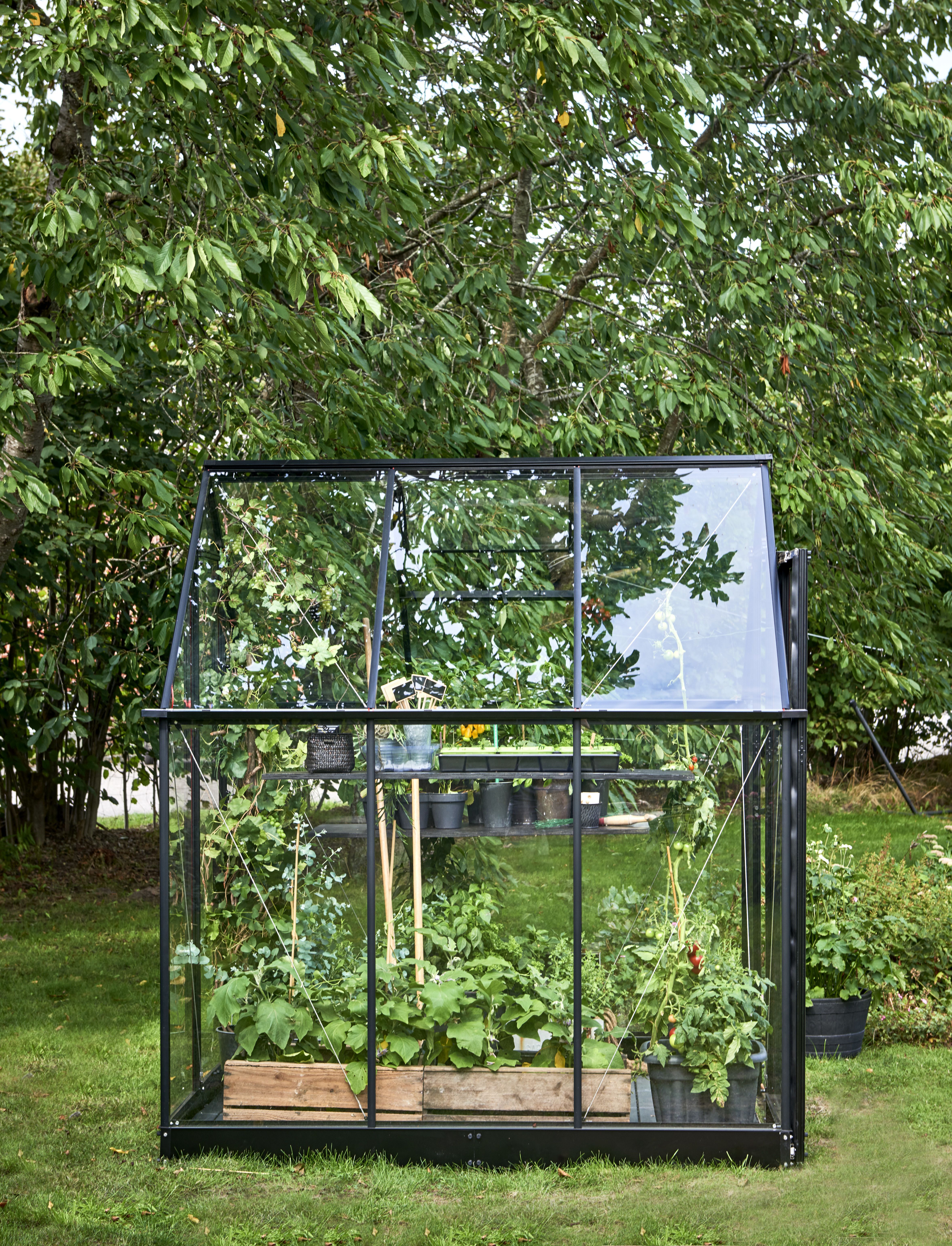 Halls Qube 66 + F06440 Växthus med fundament, 3,9 m², svart
