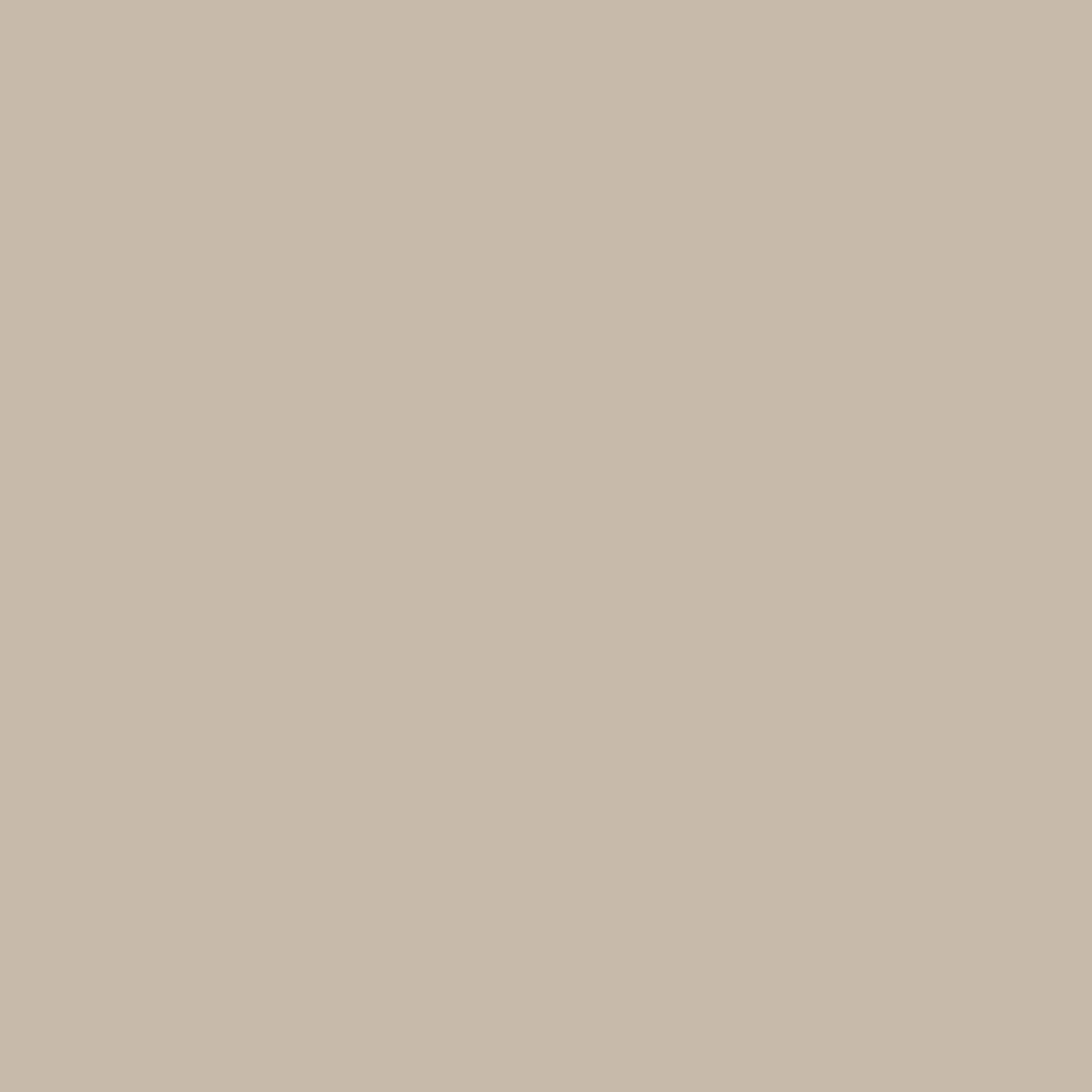 Duro Qvintus 221-28 Tapet Hav & Land Brun