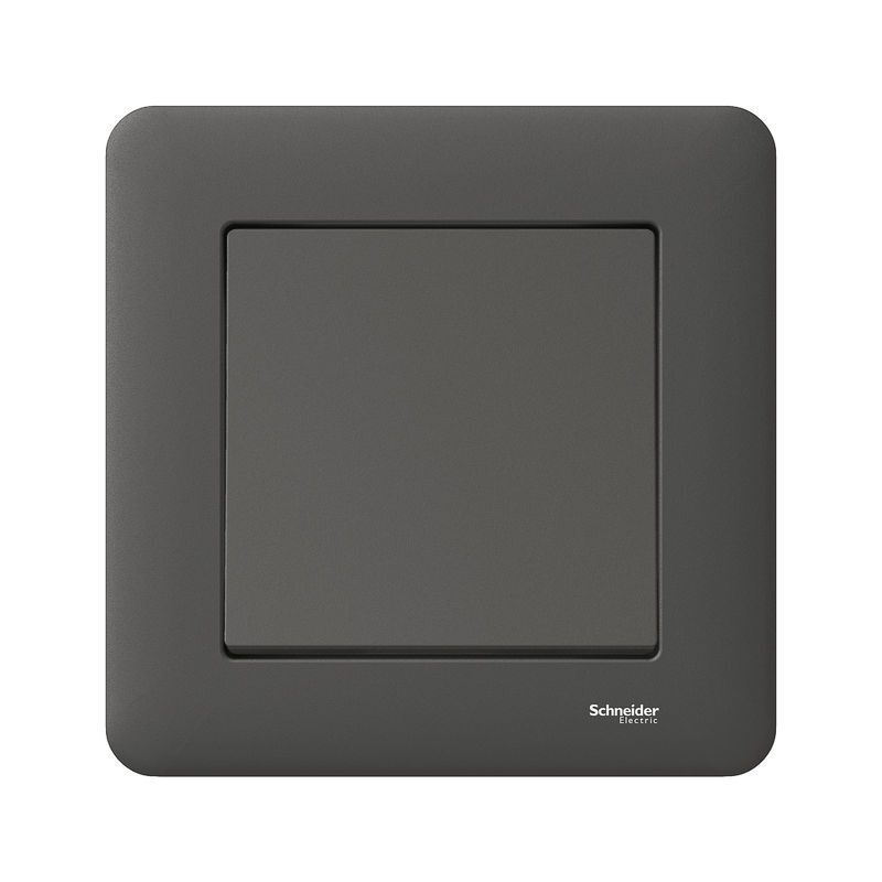 Schneider Electric Exxact WDE008422 Strömbrytare infälld, antracit 1-pol/trapp