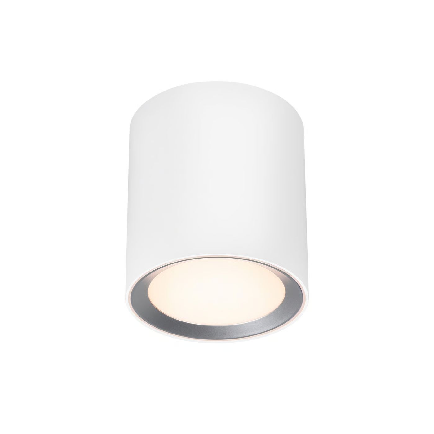 Nordlux LANDON Long Smart Downlight Vit