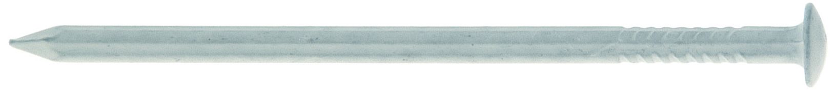 Gunnebo Z371025 Spik vit, lackerad LKH 40x1,7 mm, 1000-pack
