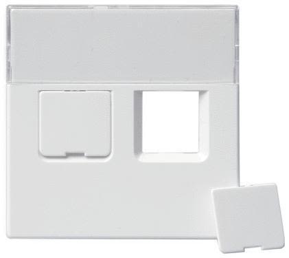 ABB 1819-84 Centrumplatta 2 x RJ45 Vit