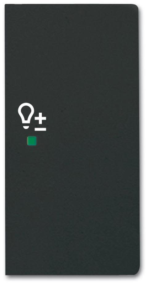 ABB Future Linear 6220-0-0628 Enkelvippa dimmer, matt, svart Höger