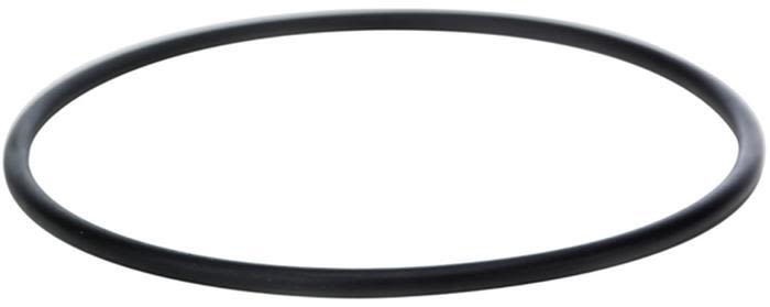 Beulco 0850932000 O-ring till Björnfilter