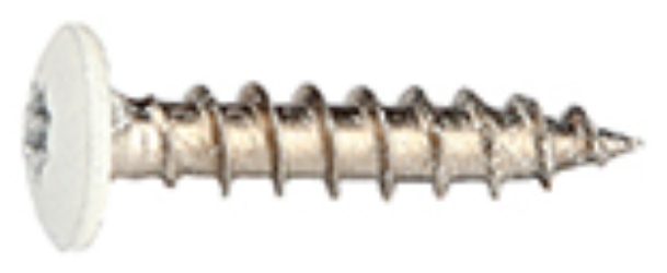 Fastex 125400199006 Bleckskruv 1000-pack, Stainlex, 4,0 x 19 mm Silver