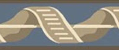 Duro Eugen bård 543-04 Bård Gammalsvenska Papper