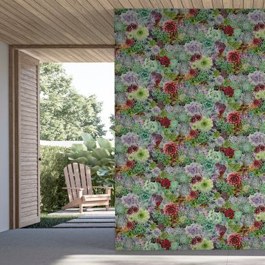 Arthouse Fantasia III 259402 Tapet Succulent Living Wall Multi