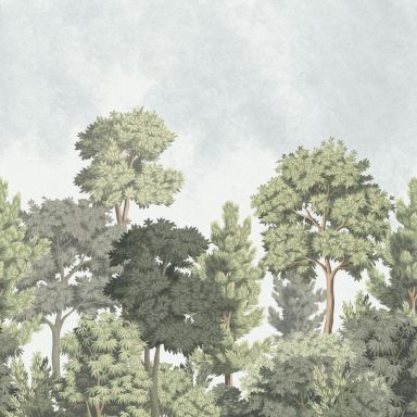 A Street Prints Ashdown MN50944 Tapet Delamere Mural