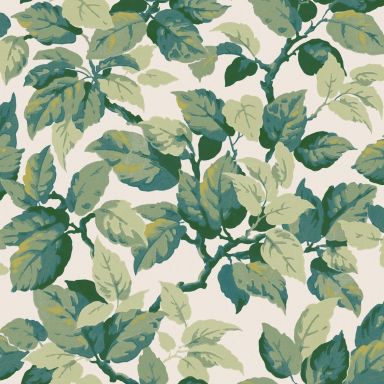 A Street Prints Ashdown M1804 Tapet Canopy