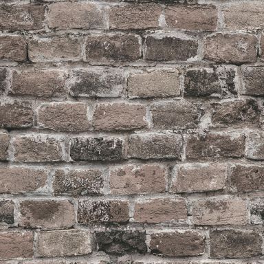 Living Walls Best of Wood´n Stone III T8143 Tapet