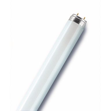 Osram Lumilux Plus Loisteputki G13-kanta, 827