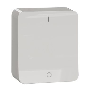 Schneider Electric Exxact Strømbryter 250 V, 2-polet