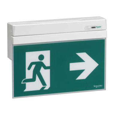 Schneider Electric OVA48404 Turvavalaisin sisältää piktogrammisarjan