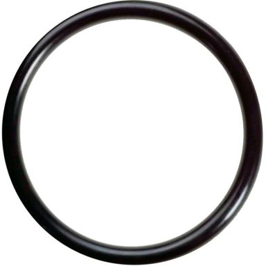 Testo 36607015 O-ring 20-pakning