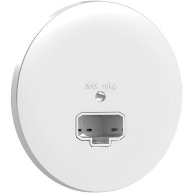 Schneider Electric Exxact WDE005001 Lampeuttak DCL, for takmontering, innfelt