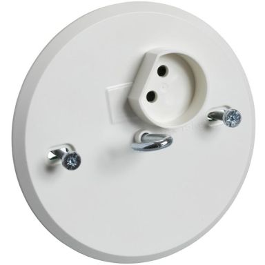 Schneider Electric 189504200 Lamputtag ojordat, 1-vägs, 2-pol, med krok