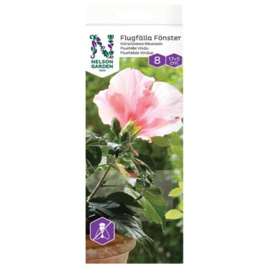 Nelson Garden 8650 Flugfälla för fönster, 8-pack