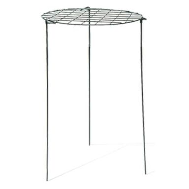 Nelson Garden 6099 Perennstöd Ø57x105 cm