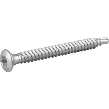ESSVE 545405 Takskruv 4,8 mm Ø, BS, TX25, ruspert