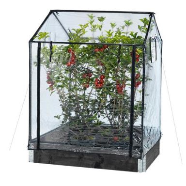 Hortus 211-152 Växthus transparent