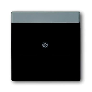 ABB Impressivo 1800-885 Keskiölevy mattamusta, RJ45, pölysuoja