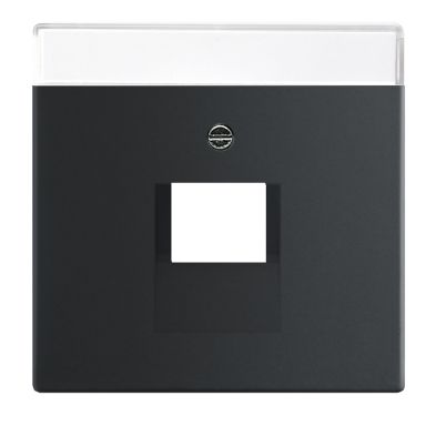ABB 2CKA001710A3912 Centrum platta matt svart