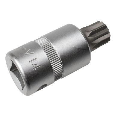 PELA 493496 Bitshylsa XZN, M7
