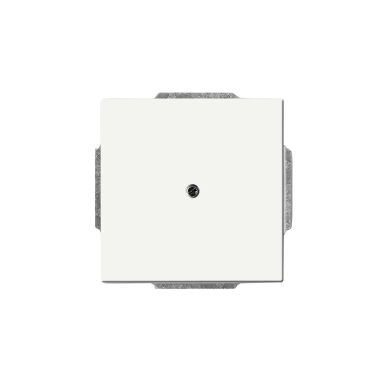 ABB 2CKA001710A3873 Centrumplatta täcklock