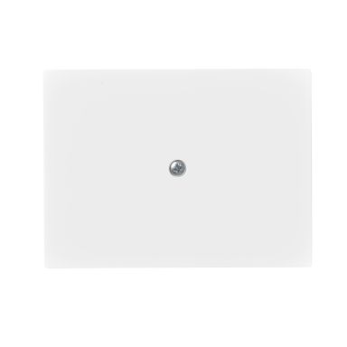 ABB 2538-100-884 Centrumplatta blindlock, vit