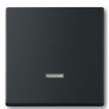 ABB 2CKA006599A2968 Centrumplatta för dimmer