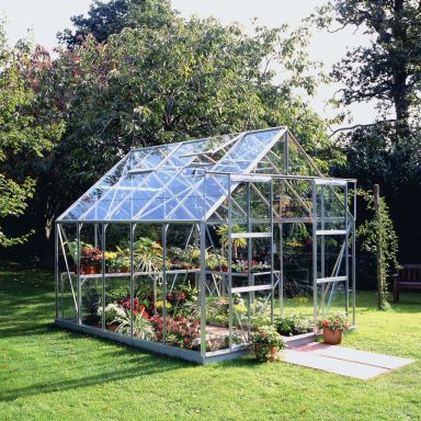 Halls Magnum 108 + SO1651 Växthus med fundament, 8,3 m², aluminium