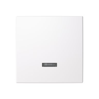 ABB Saga 6543-916-102-510 Centrumplatta vit