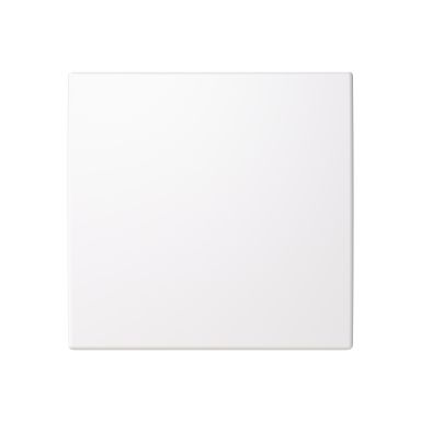 ABB Saga 2506-916-510 Vipu yksiosainen keinukytkin