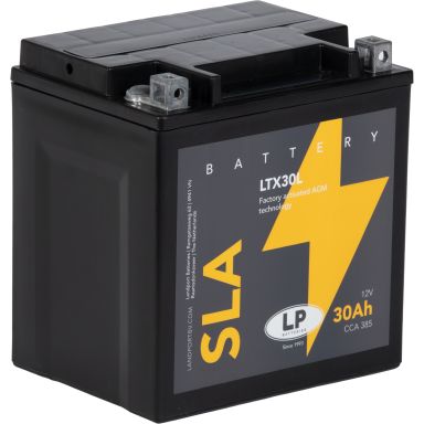 LP Batteries LPYTX30L Startbatteri 12V, 30 Ah