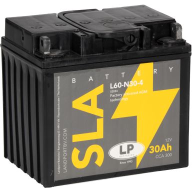 LP Batteries LPY60-N30-4 Startbatteri 12V, 30 AH