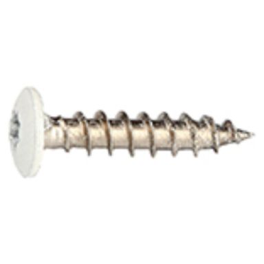 Fastex 125400199011 Bleckskruv 1000-pack, Stainlex, 4,0 x 19 mm
